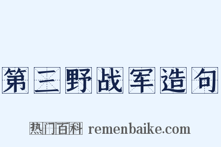 第三野战军造句是什么意思的图片